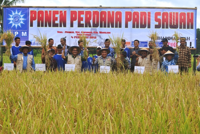 Melalui MPM, Muhammadiyah Berikan Pengetahuan Pertanian Pada Masyarakat Kokoda