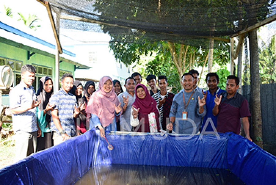 Melatih Jiwa Tourismpreneur Mahasiswa, Prodi Akuakultur UNIMUDA Sorong Tebar 525 Bibit Ikan Lele